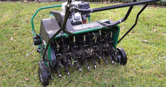 Dethatching and Aerating