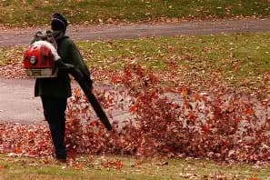 Leaf Blowing