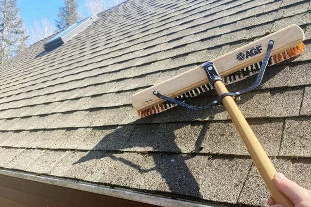 Roof Moss Clean & Repair